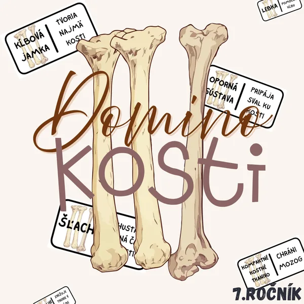 Domino - Kosti