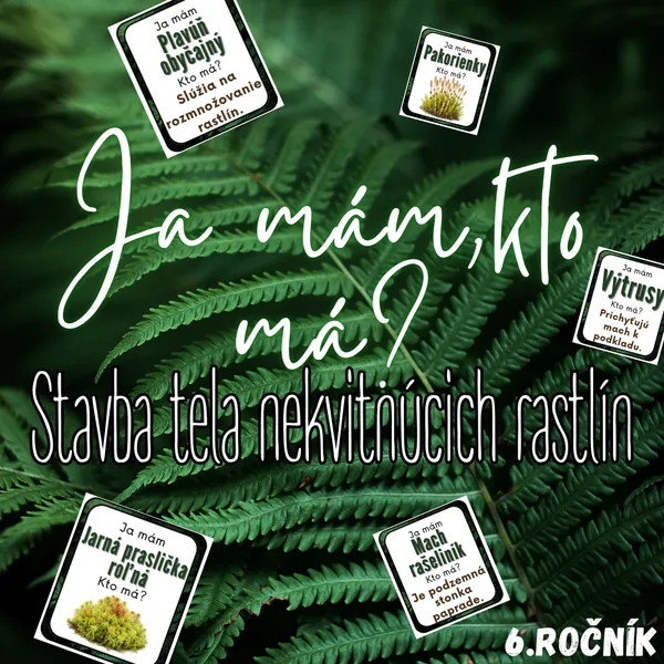 Ja mám, kto má? - Stavba tela nekvitnúcich rastlín