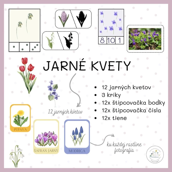 Jarné kvety 
