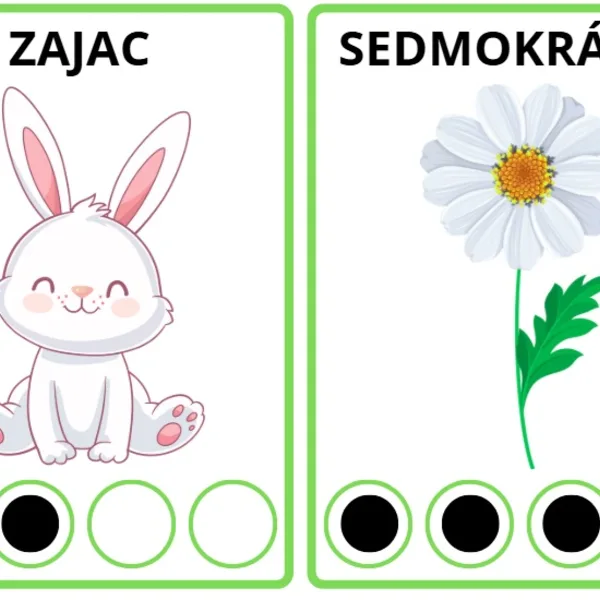 KOMUNIKAČNÉ KARTIČKY - JAR