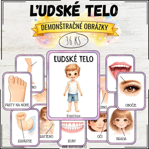 Demonštračné obrázky – ľudské telo