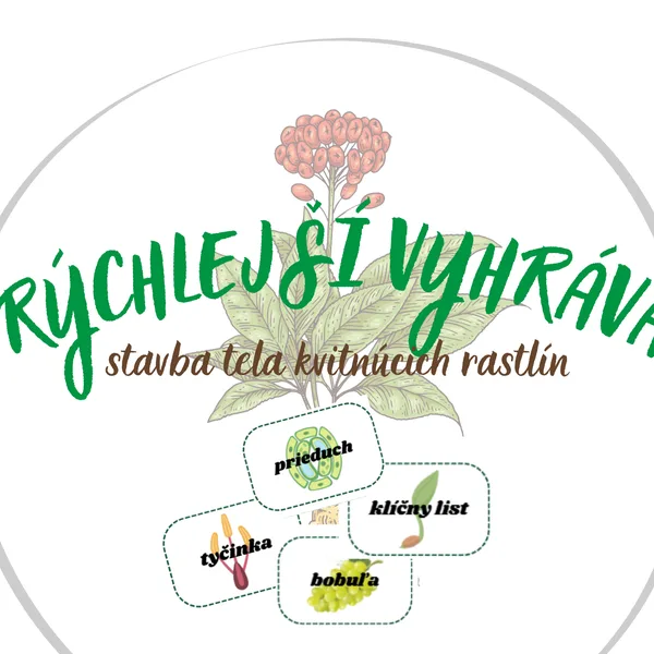 Rýchlejší vyhráva: stavba tela kvitnúcich rastlín