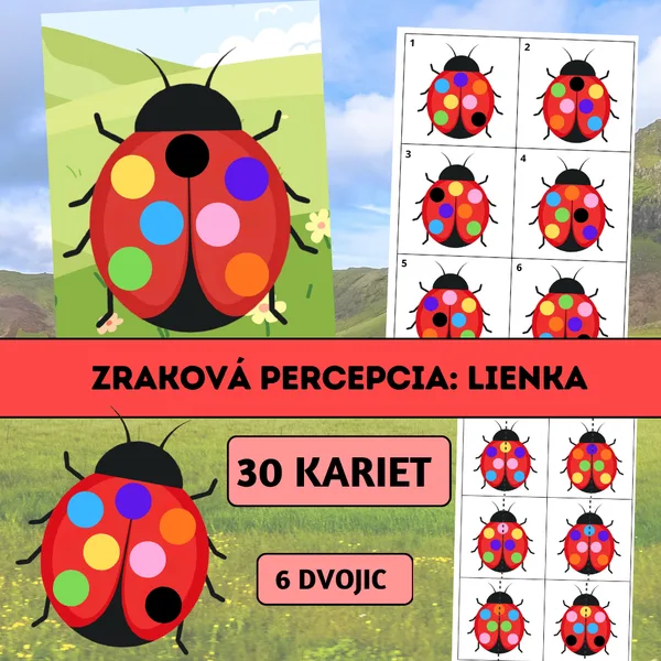 Zraková percepcia: Lienka