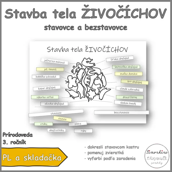 Stavba tela živočíchov