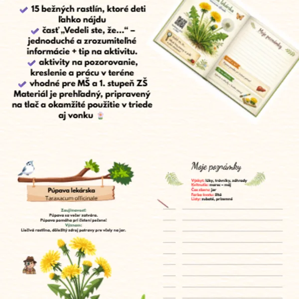 🌿 HERBÁR PRE DETI – PRACOVNÝ ZOŠIT 🌿