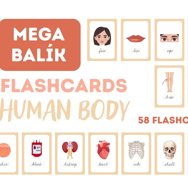 FLASHCARDS - human body - mega balík