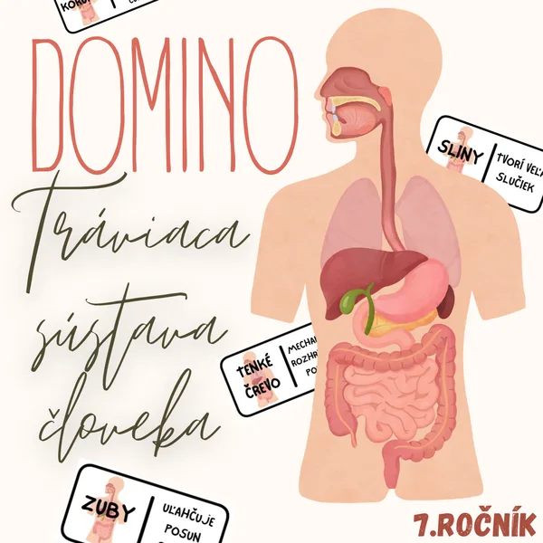 Domino - Tráviaca sústava človeka
