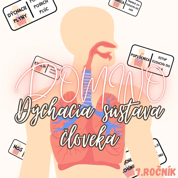 Domino - Dýchacia sústava človeka