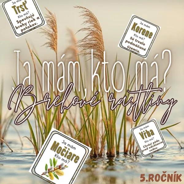 Ja mám, kto má? - Brehové rastliny