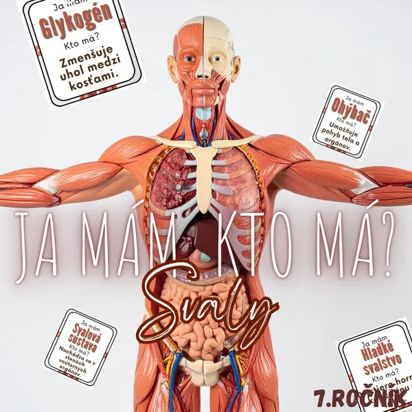 Ja mám, kto má? - Svaly