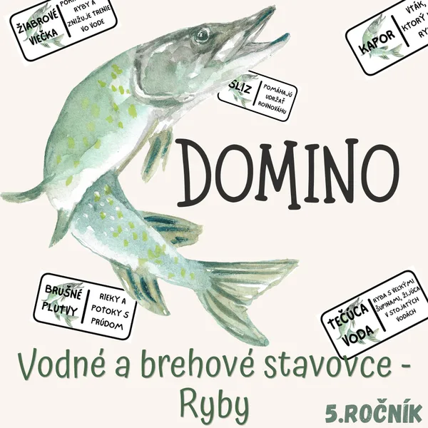 Domino - Vodné a brehové stavovce: Ryby