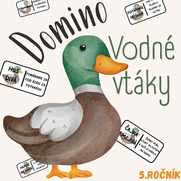 Domino - Vodné vtáky