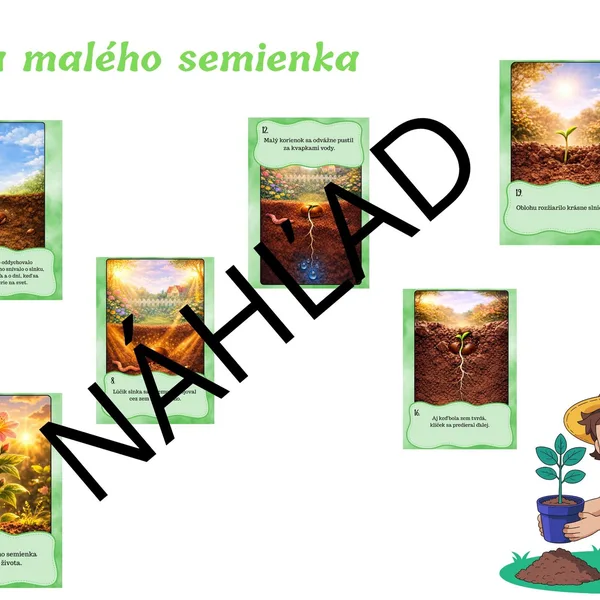 Cesta malého semienka