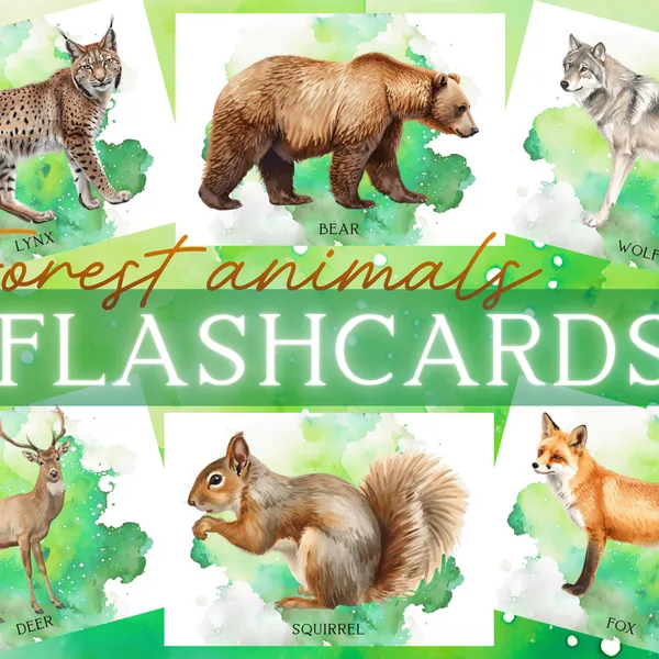 🐻 🦊🦉FLASHCARDS - FOREST ANIMALS🐻 🦊🦉