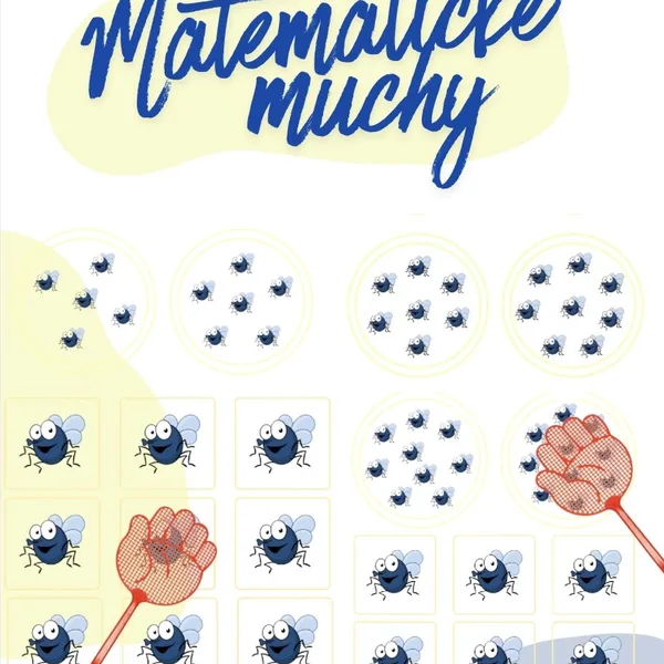 Matematické muchy