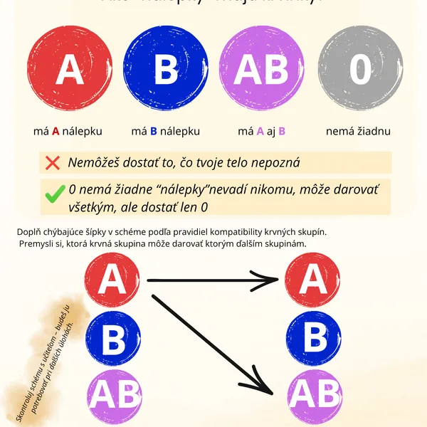 Krvné skupiny JEDNODUCHO (AB0 + Rh faktor)