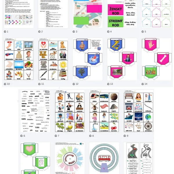 LAPBOOK - Vzory podstatných mien - MESTO VZOROV