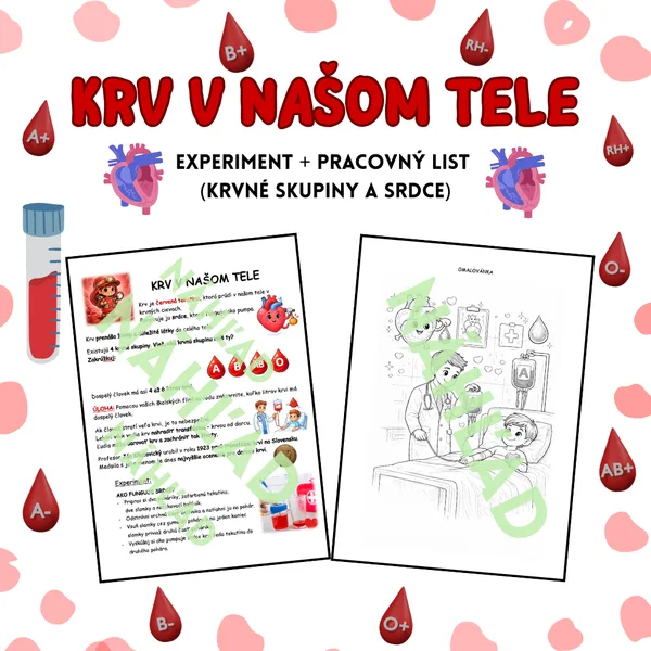 KRV V NAŠOM TELE: Experiment + pracovný list (krvné skupiny a srdce)