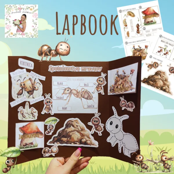 Lapbook spoločenstvo mravcov