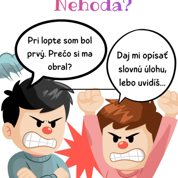 Omyl? Konflikt? Šikana?