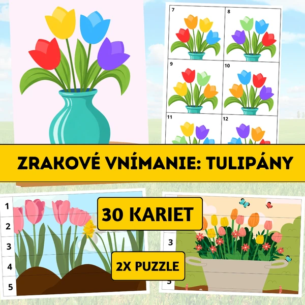 Zrakové vnímanie: Tulipány
