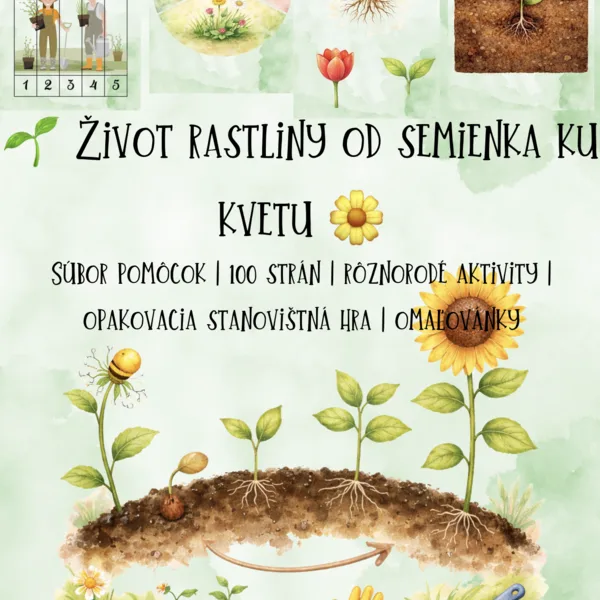 🌱 Život rastliny od semienka ku kvetu