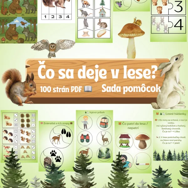 ✨ ČO SA DEJE V LESE? ✨🌳