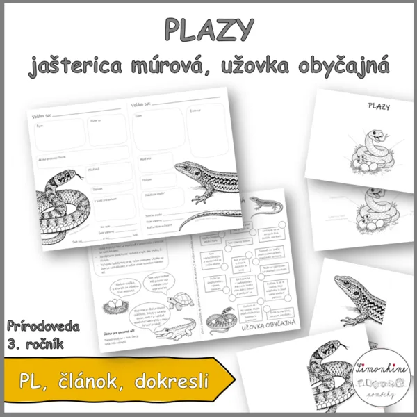Plazy