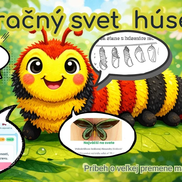 Húsenička - kúzelníčka