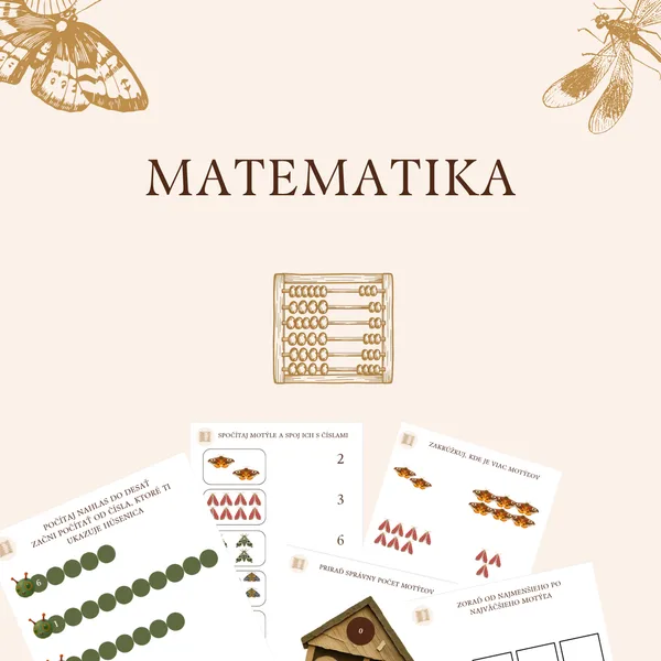 Motýle - matematika a logika
