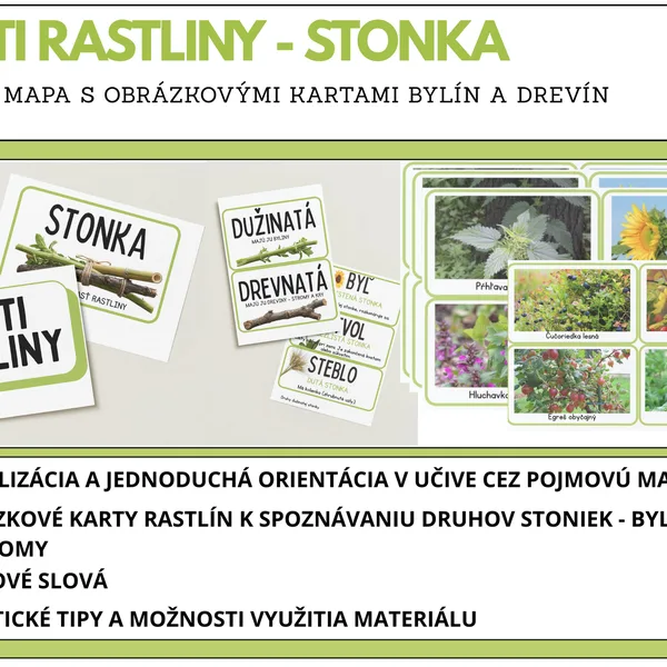 ČASTI RASTLINY - STONKA
