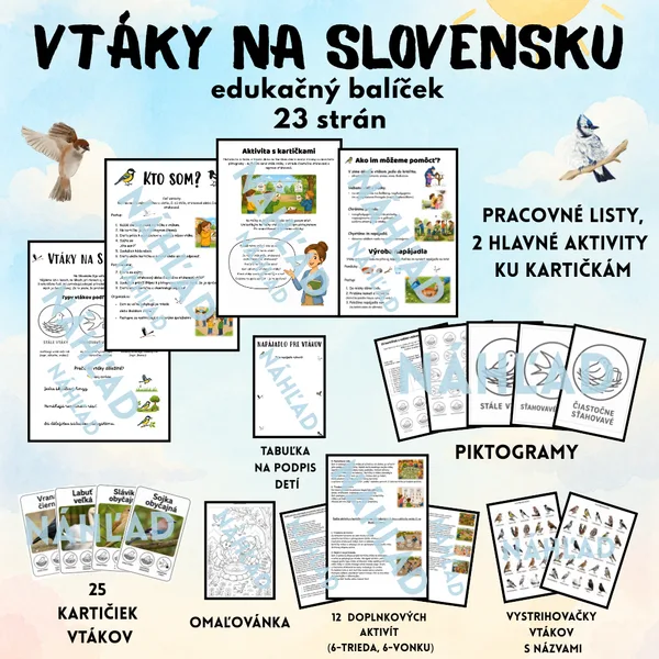 🐦 VTÁKY NA SLOVENSKU – kartičky + aktivity + omaľovánka + vystrihovačky