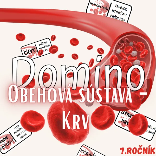 Domino - Obehová sústava - Krv 