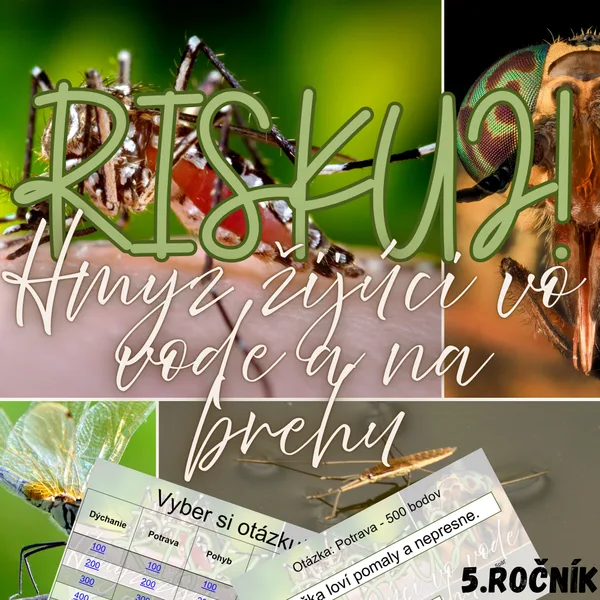 RISKUJ! - Hmyz žijúci vo vode a na brehu