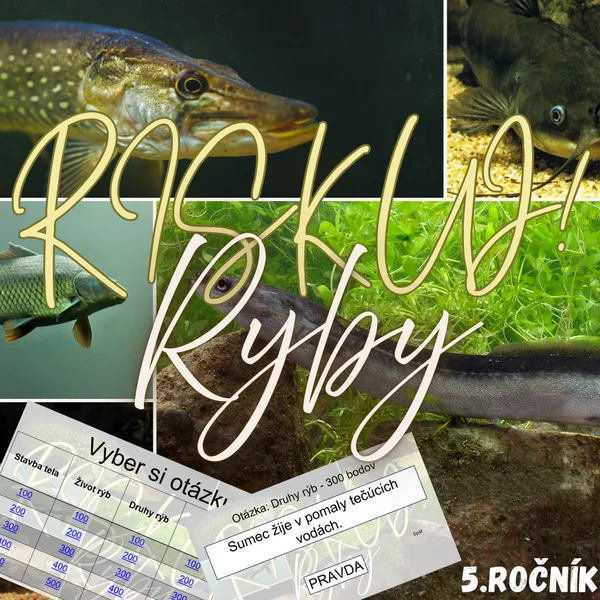 RISKUJ! - Ryby