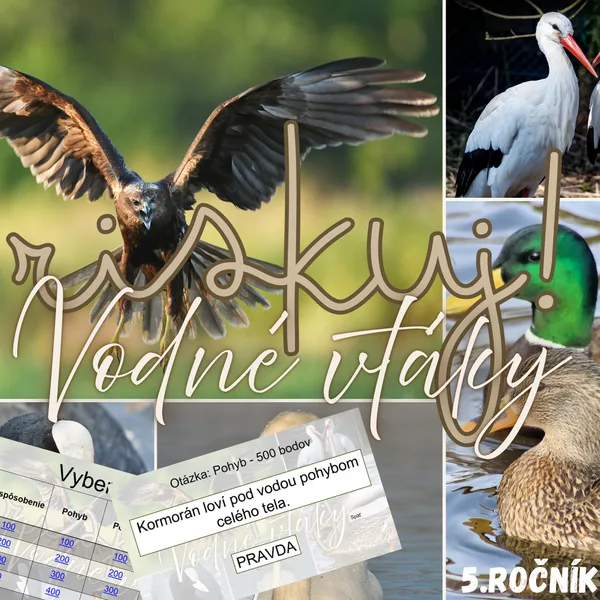 RISKUJ! - Vodné vtáky