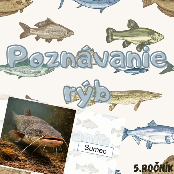 Poznávanie rýb