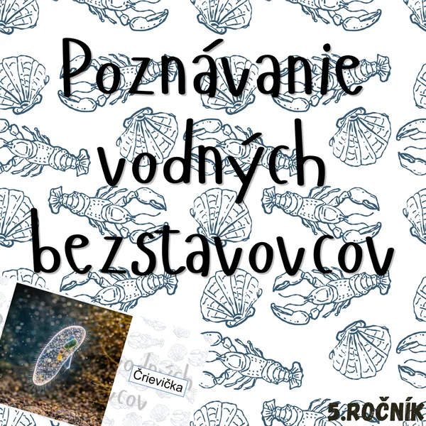 Poznávanie vodných bezstavovcov