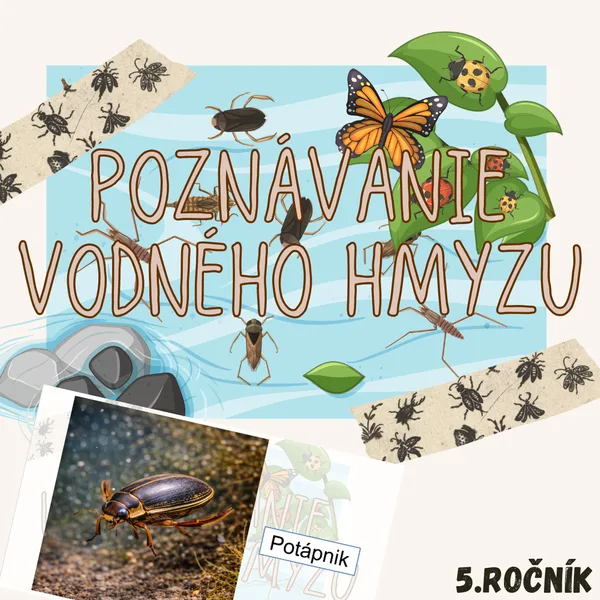 Poznávanie vodného hmyzu