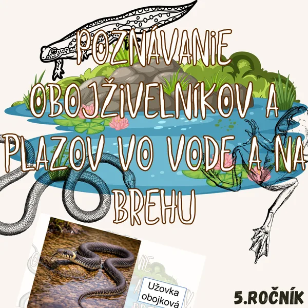 Poznávanie obojživelníkov a plazov vo vode a na brehu