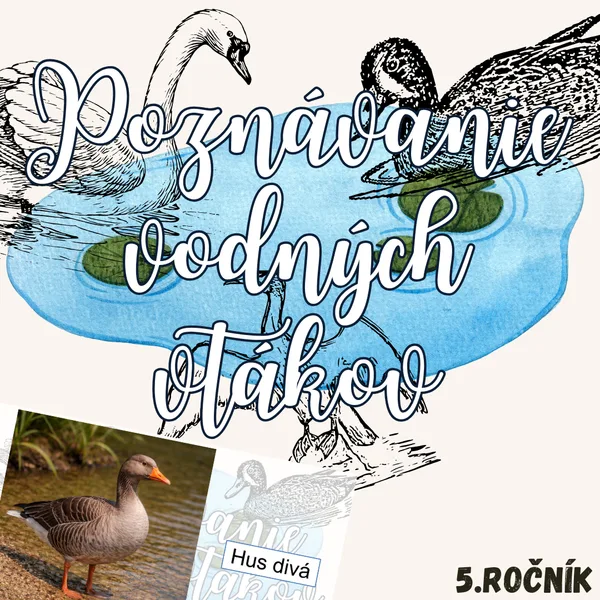 Poznávanie vodných vtákov