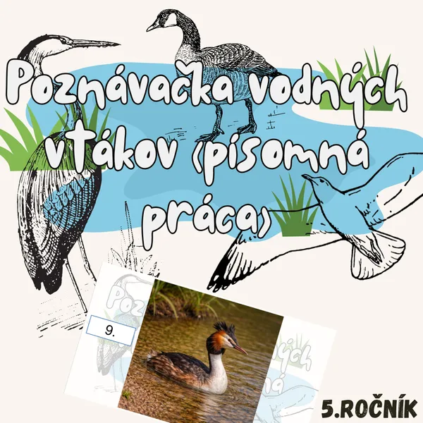 Poznávačka vodných vtákov (písomná práca)