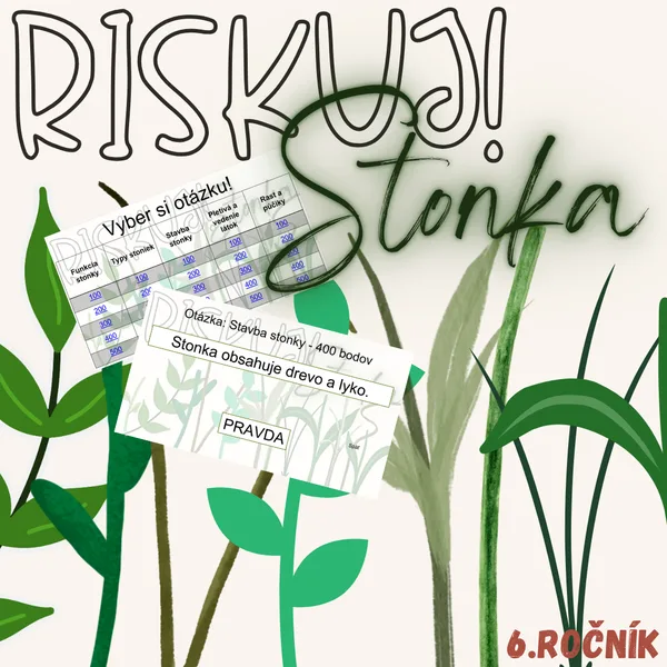 RISKUJ! - Stonka