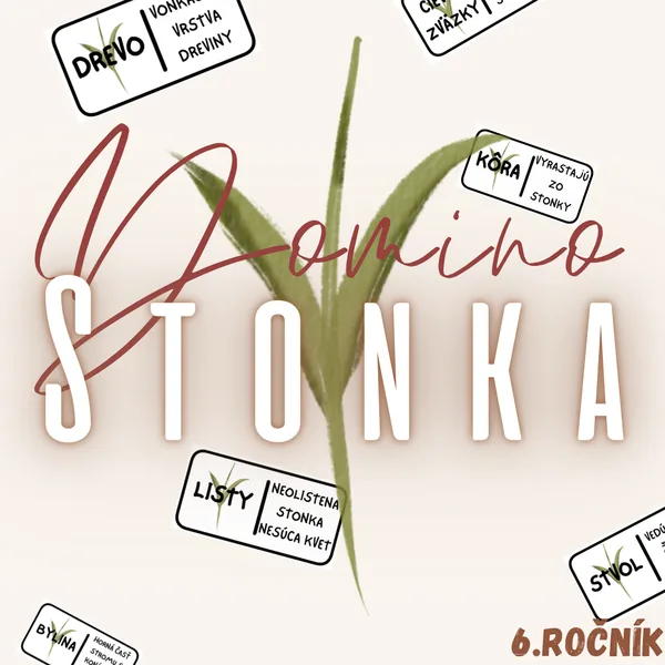 Domino - Stonka