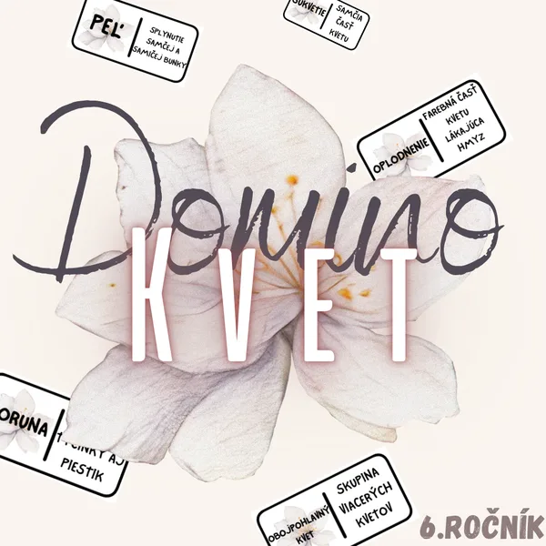 Domino - Kvet