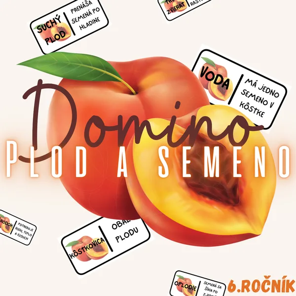 Domino - Plod a semeno