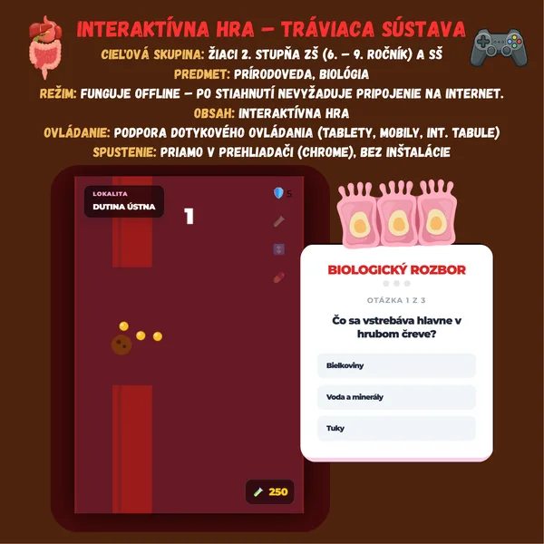 Interaktívna hra – Tráviaca sústava