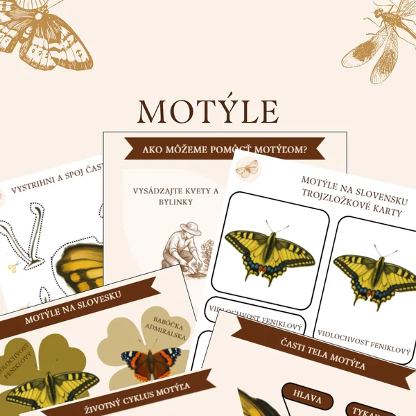 Motýle