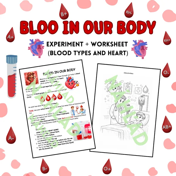 BLOOD IN OUR BODY: Experiment + Worksheet (Blood Types and Heart)