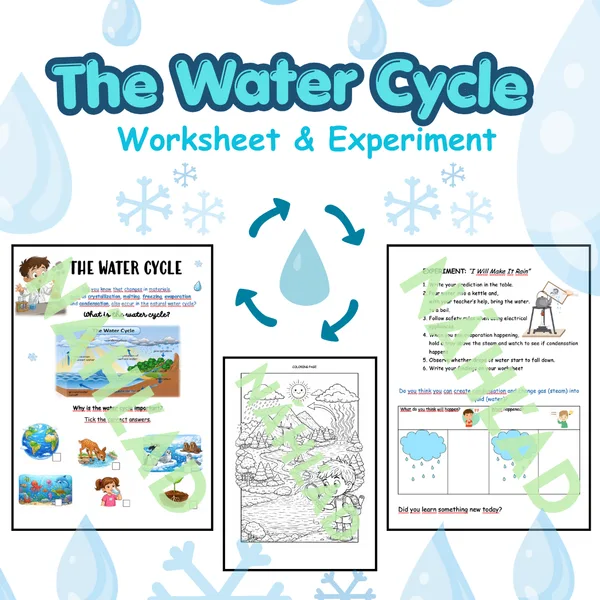 The Water Cycle: Worksheet & Experiment